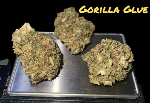 GORILLA GLUE 28grams OZ INDICA 26%THC 🔥🔥🔥