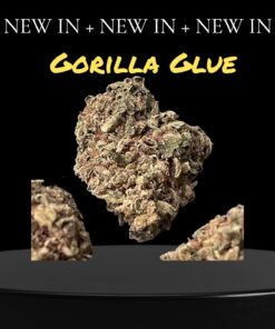 GORILLA GLUE 28grams OZ INDICA 26%THC 🔥🔥🔥