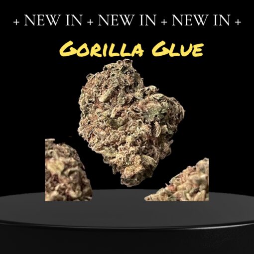 GORILLA GLUE 28grams OZ INDICA 26%THC 🔥🔥🔥