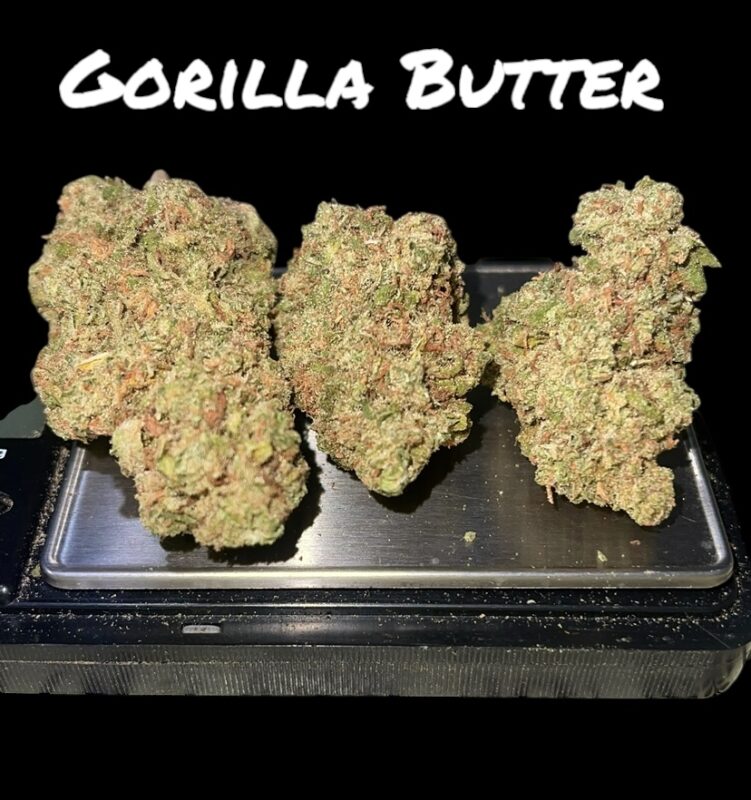Gorilla Butter: A Smooth and Savage Hybrid That Packs Flavor and Firepower