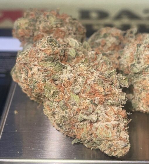 LAMBS BREAD 28grams  OZ ON SALE 27%THC SATIVA $120