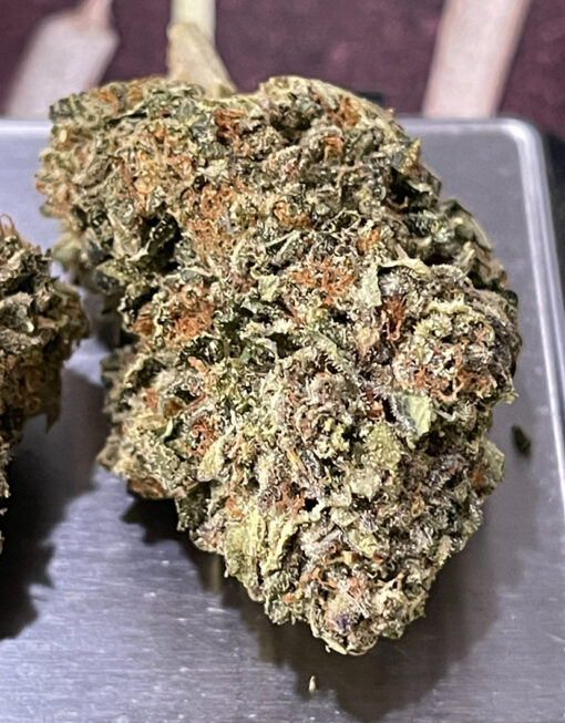 DAYWALKER DIESEL3.5grams  38%%THC SATIVA RARE OLD SCHOOL DIESEL STRAIN 🏆🎉🏆🎉