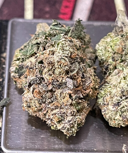 MIAMI  HEAT 🏀🔥28grams SATIVA 30%THC EXOTICS 🔥🔥🔥
