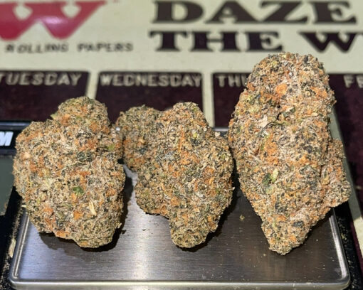 BABY TURTLE 🐢 3.5g HYBRID EXOTICS 36%THC🔥🔥 (KHALIFA KUSH)