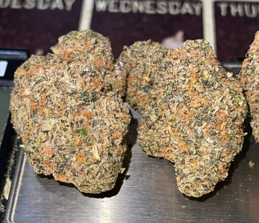 BABY TURTLE 🐢 3.5g HYBRID EXOTICS 36%THC🔥🔥 (KHALIFA KUSH)