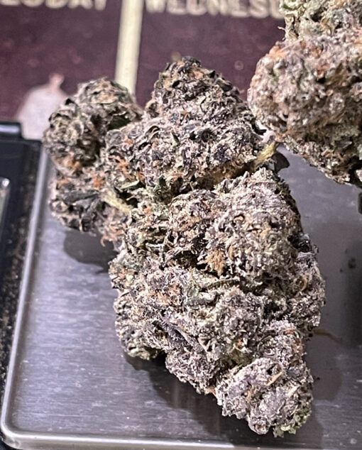 PURPLE ZUSHI RUNTZ 3.5g HYBRID EXOTIC 31%THC 🔥🔥🔥