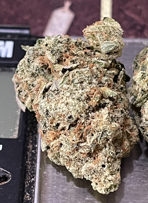 CITY GORILLA 🦍 28Grams OZ INDICA 33%THC 🔥🔥