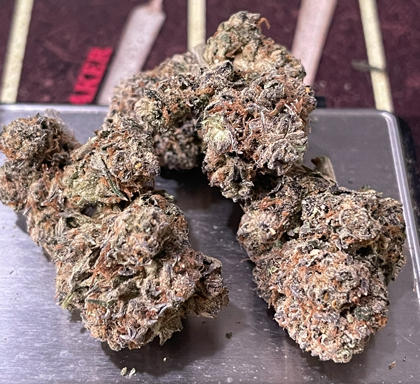 SCOTTIE PIPPEN3.5g HYBRID INDOOR 🔥🔥31%THC SCOTTIE PIPPEN3.5g HYBRID INDOOR 🔥🔥31%THC