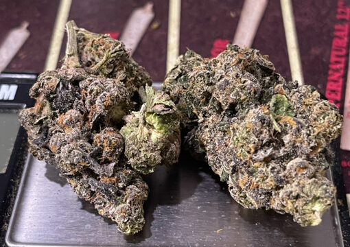 BUBBLEGUM MARKER#2 OZ ON SALE 28grams INDICA EXOTIC 36%THC EXOTICS