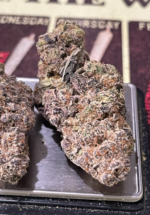 ORANGE SAFARI 32%THC SATIVA