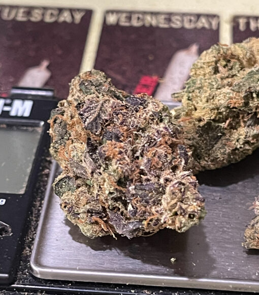 PURPLE GUMBO 3.5grams INDICA 33%THC 🎆🇺🇸4th SALE