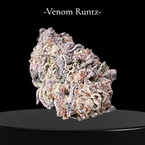 VENOM RUNTZ 28grams INDICA 27%THC 🔥🍪