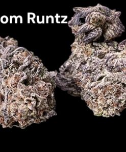 VENOM RUNTZ 28grams INDICA 27%THC 🔥🍪