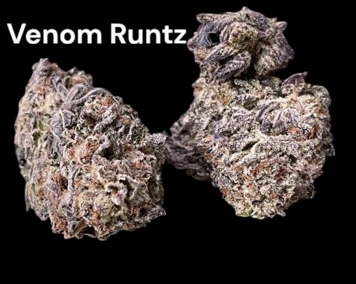VENOM RUNTZ 28grams INDICA 27%THC 🔥🍪