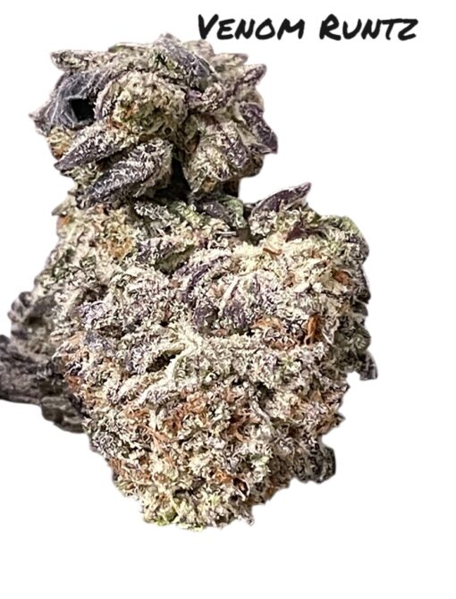 VENOM RUNTZ 28grams INDICA 27%THC 🔥🍪