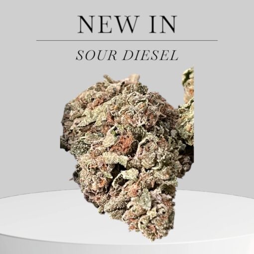 SOUR DIESEL 7GRAMS QUARTER 🎉🎉SUMMER SALE 🎉🎉27%THC SATIVA 🔥🔥🔥