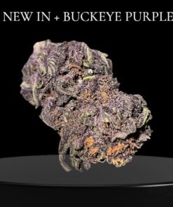 BUCKEYE PURPLE OZ ON SALE $100 27%THC INDICA 🔥🔥🔥 SUMMER SALE