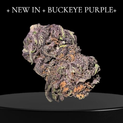BUCKEYE PURPLE OZ ON SALE $100 27%THC INDICA 🔥🔥🔥 SUMMER SALE