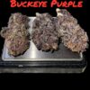 BUCKEYE PURPLE OZ ON SALE $100 27%THC INDICA 🔥🔥🔥 SUMMER SALE