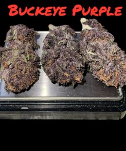 BUCKEYE PURPLE OZ ON SALE $100 27%THC INDICA 🔥🔥🔥 SUMMER SALE