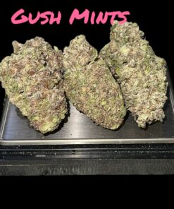 GUSH MINTS 28g OZ ON SALE HYBRID 28%THC