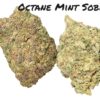 OCTANE MINT SOBERT 28GRAMS INDICA 28%THC 🔥🔥
