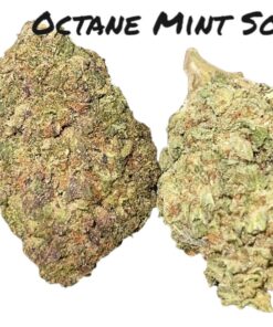 OCTANE MINT SOBERT 28GRAMS INDICA 28%THC 🔥🔥