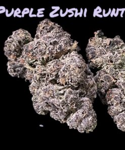 PURPLE ZUSHI RUNTZ 3.5g HYBRID EXOTIC 31%THC 🔥🔥🔥