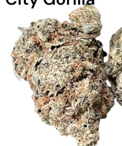 CITY GORILLA 🦍 28Grams OZ INDICA 33%THC 🔥🔥