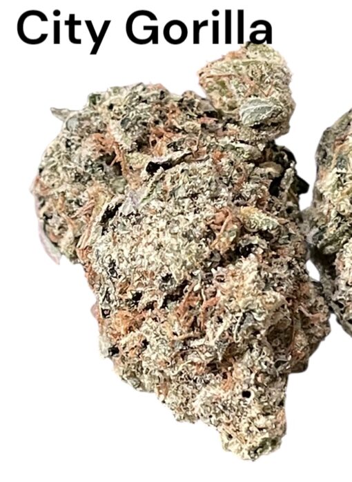 CITY GORILLA 🦍 28Grams OZ INDICA 33%THC 🔥🔥