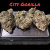 CITY GORILLA 🦍 28Grams OZ INDICA 33%THC 🔥🔥