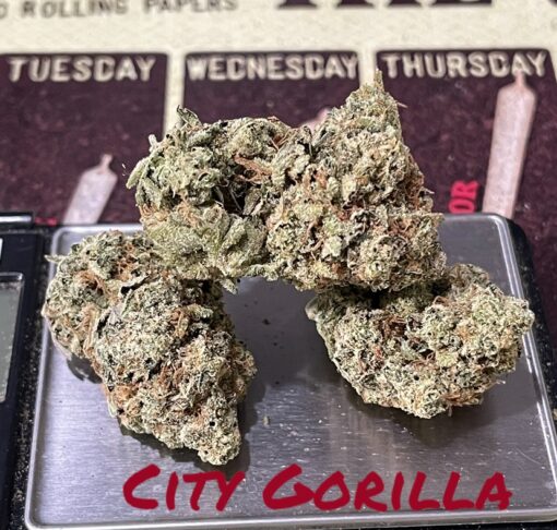 CITY GORILLA 🦍 28Grams OZ INDICA 33%THC 🔥🔥