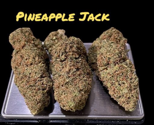 PINEAPPLE 🍍 JACK HERER  28g SATIVA 26%THC 🔥🔥