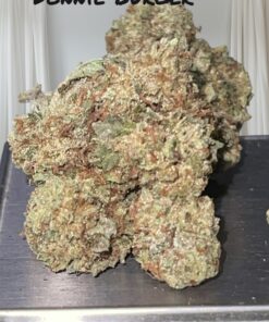DONNY BURGER 28grams INDICA on SALE 26%THC 🔥🔥
