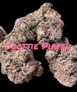SCOTTIE PIPPEN3.5g HYBRID INDOOR 🔥🔥31%THC