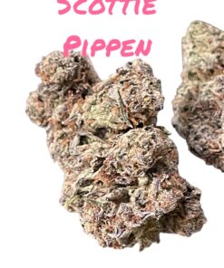 SCOTTIE PIPPEN3.5g HYBRID INDOOR 🔥🔥31%THC