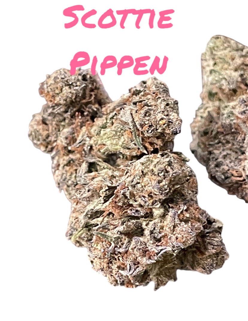 SCOTTIE PIPPEN3.5g HYBRID INDOOR 🔥🔥31%THC SCOTTIE PIPPEN3.5g HYBRID INDOOR 🔥🔥31%THC