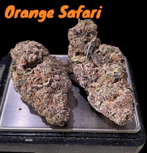 ORANGE SAFARI 32%THC SATIVA