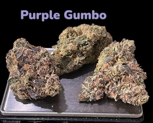 PURPLE GUMBO 3.5grams INDICA 33%THC 🎆🇺🇸4th SALE