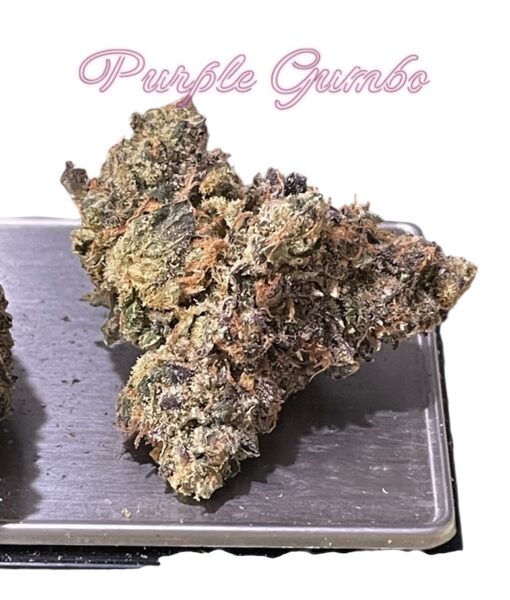 PURPLE GUMBO 3.5grams INDICA 33%THC 🎆🇺🇸4th SALE