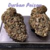 DURBAN POISON28g OZ SATIVA ON SALE 28% THC 🔥🔥🔥