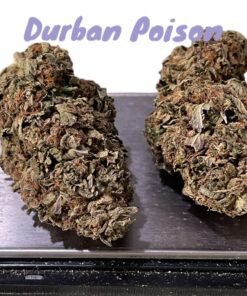 DURBAN POISON28g OZ SATIVA ON SALE 28% THC 🔥🔥🔥