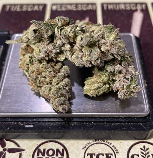 GARY PAYTON 7GRAMS QUARTER 28%THC HYBRID 🇺🇸🎆4THJULY🇺🇸🎆SALE