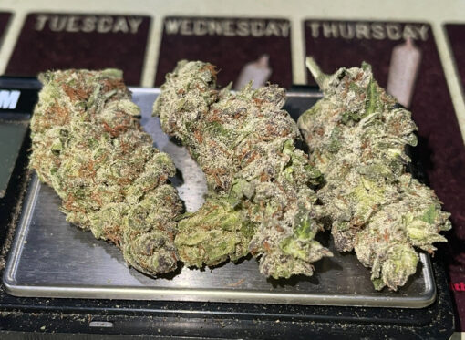 GARY PAYTON 7GRAMS QUARTER 28%THC HYBRID 🇺🇸🎆4THJULY🇺🇸🎆SALE