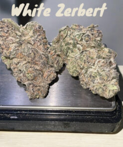 WHITE ZERBERT 28grams ON SALE 35%THC INDICA On SALE 🔥🔥🔥EXOTICS ZAZA🔥🔥