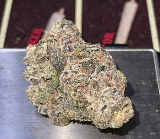 WHITE ZERBERT 28grams ON SALE 35%THC INDICA On SALE 🔥🔥🔥EXOTICS ZAZA🔥🔥