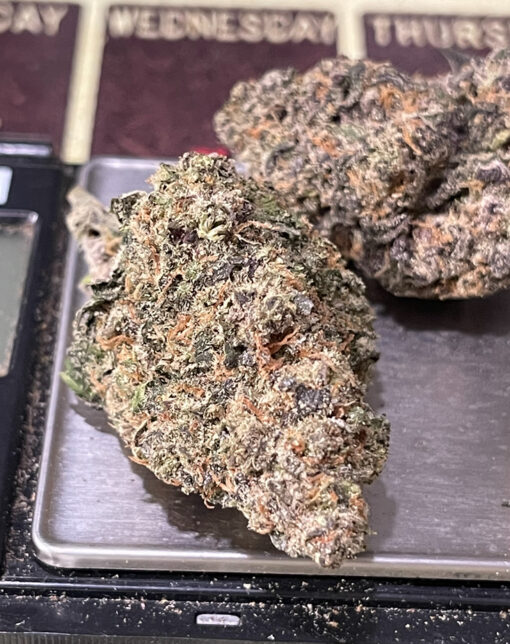 TROPICAL ZKITTLEZ  4GRAM BAGS 🏝️SUMMER SALE 🔥🏝️ 31%THC INDICA