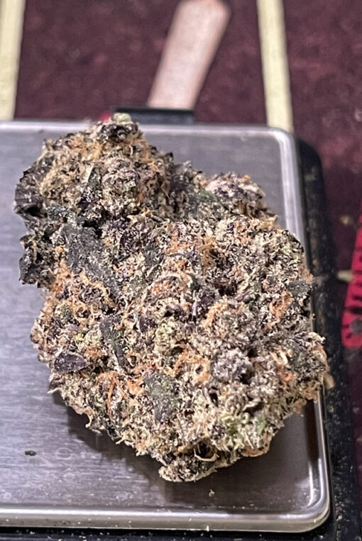 TROPICAL ZKITTLEZ  4GRAM BAGS 🏝️SUMMER SALE 🔥🏝️ 31%THC INDICA