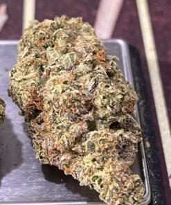 GAZ MONEY 3.5grams 🔥🔥INDICA 34%THC (DNA GENETICS)