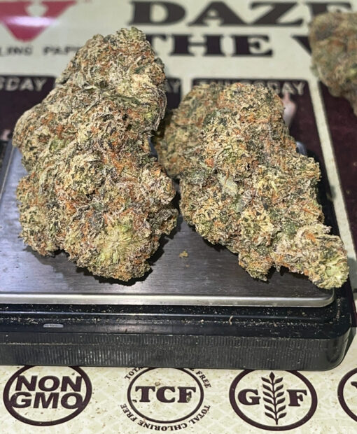 GAZ MONEY 3.5grams 🔥🔥INDICA 34%THC (DNA GENETICS)